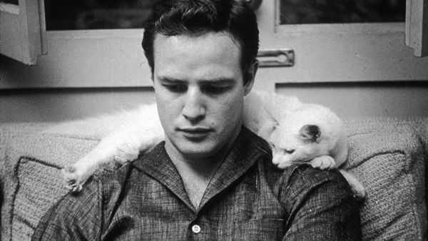 Stevan Riley's look at Marlon Brando in Listen to Me Marlon: "Art was often paralleling his life. Guys and Dolls reflected his need for levity."